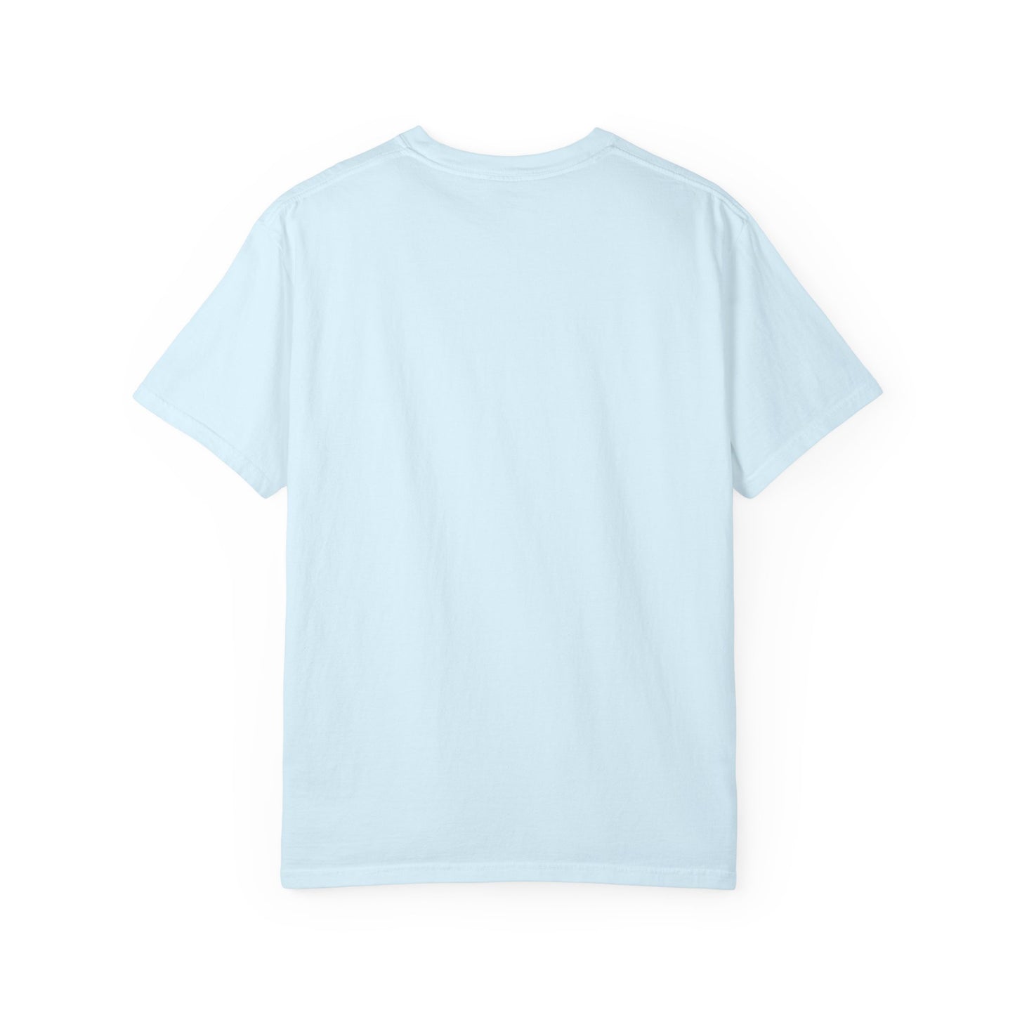 Rides and Vibes T-Shirt — Amusement Park Ferris Wheel & Treats Tee